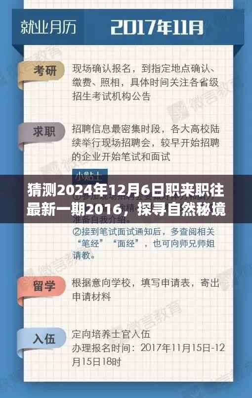 探寻自然秘境,心灵之旅启程,职来职往最新一期预告 2024年12月6日即将揭晓