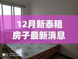 12月新泰租房最新消息,掌握最新房源,轻松找到理想住所
