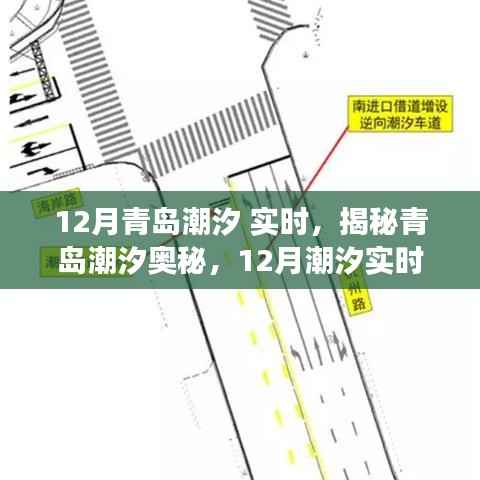 揭秘青岛潮汐奥秘,12月潮汐实时观察与分析