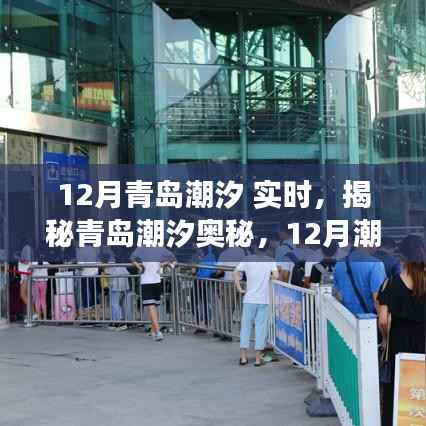 揭秘青岛潮汐奥秘,12月潮汐实时观察与分析