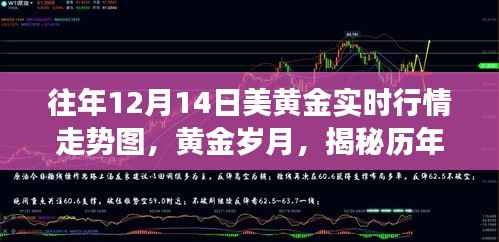 揭秘历年黄金行情走势背后的故事,十二月十四日美黄金实时行情走势图深度解析