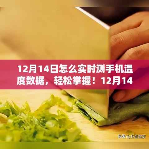 12月14日手机实时温度数据检测指南,初学者与进阶用户必备