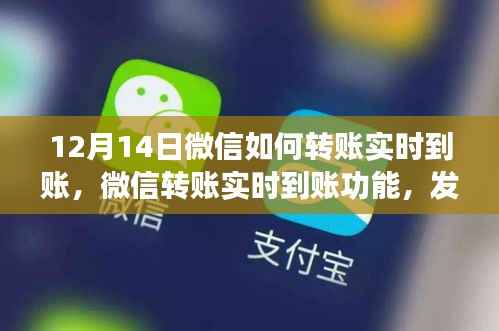 微信转账实时到账功能回顾,发展历程与影响分析(12月14日更新)