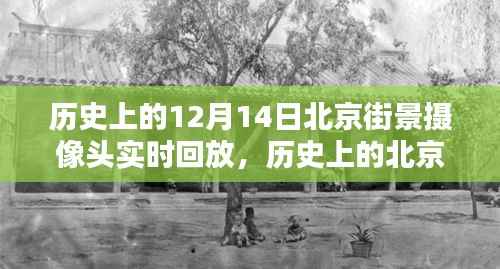 考级报名 第282页