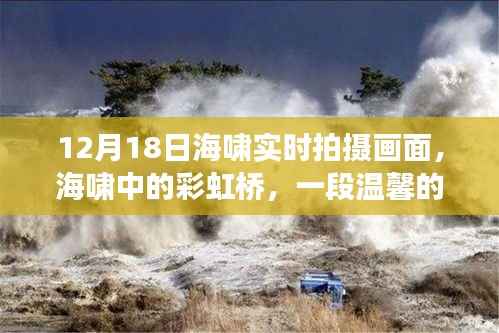 海啸中的彩虹桥,温馨日常故事在灾难中绽放