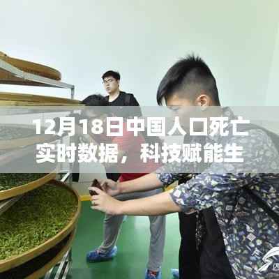 科技赋能下的实时人口死亡数据监控,中国前沿体验与实时数据监测报告