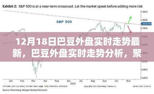 巴豆外盘实时走势分析,最新动态与多方观点探讨(12月18日)