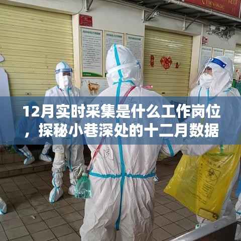 走马观花 第3页