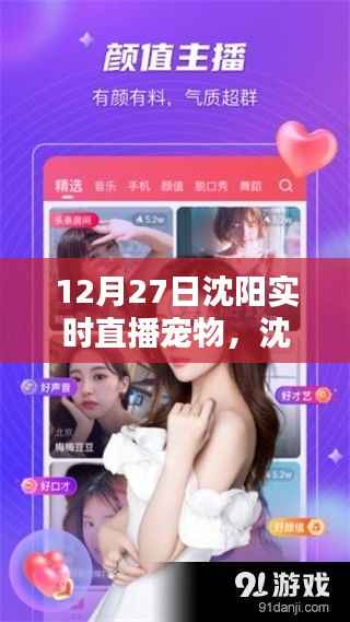 沈阳宠物直播日常,温馨陪伴时刻(12月27日)