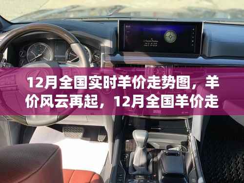 深度解析,12月全国羊价走势图,羊价风云再起,实时羊价走势一览无余