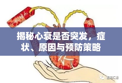 揭秘心衰是否突发,症状、原因与预防策略