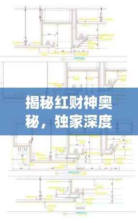 揭秘红财神奥秘,独家深度解读资料