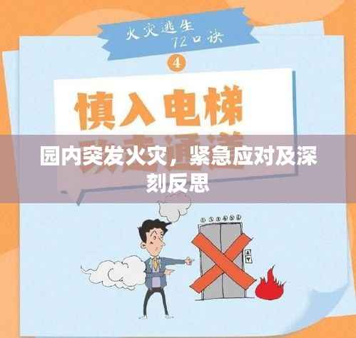 园内突发火灾,紧急应对及深刻反思