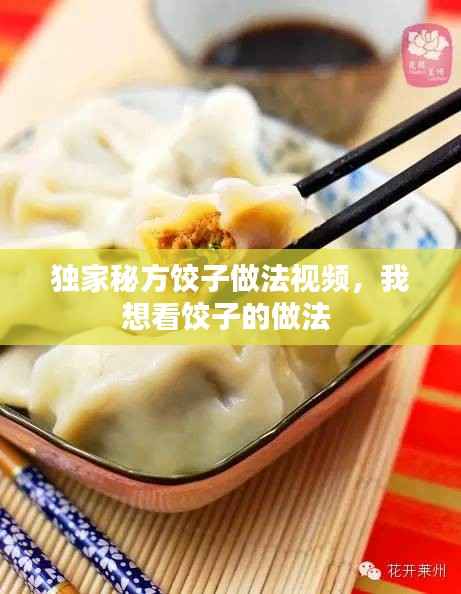 独家秘方饺子做法视频,我想看饺子的做法