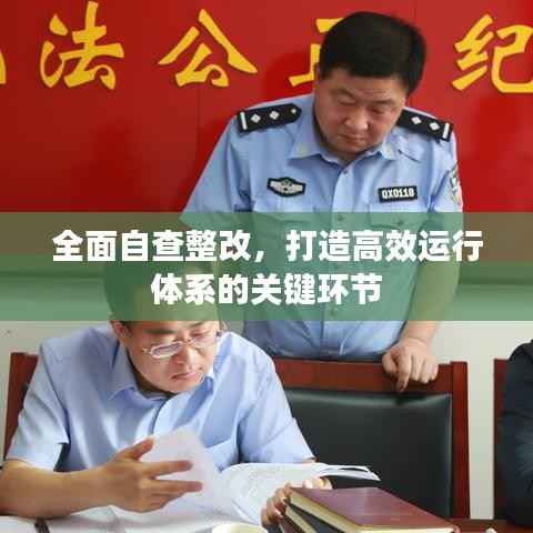 全面自查整改,打造高效运行体系的关键环节