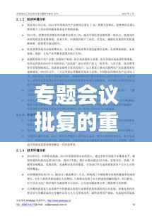 专题会议批复的重要性及其实际应用解析