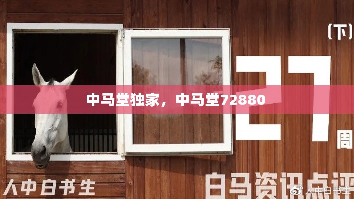 中马堂独家,中马堂72880