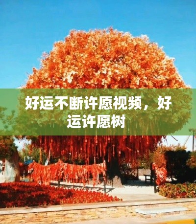 好运不断许愿视频,好运许愿树