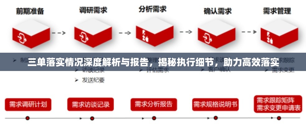 三单落实情况深度解析与报告,揭秘执行细节,助力高效落实