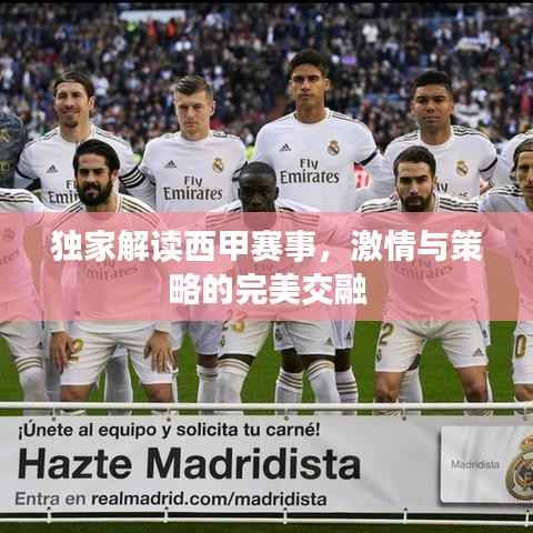 独家解读西甲赛事,激情与策略的完美交融