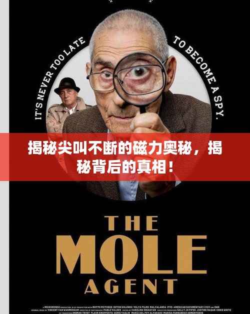 揭秘尖叫不断的磁力奥秘,揭秘背后的真相!