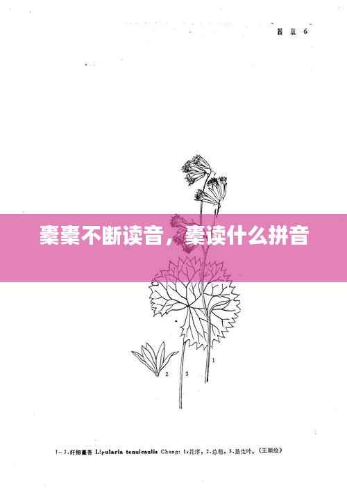橐橐不断读音,橐读什么拼音