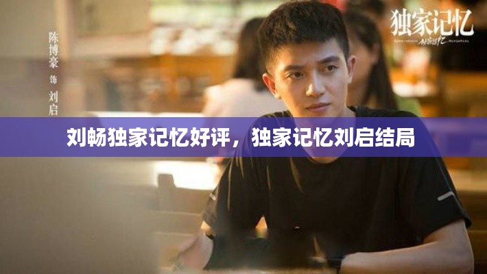 刘畅独家记忆好评,独家记忆刘启结局