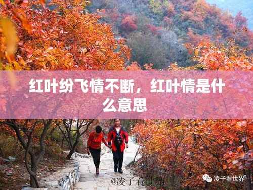 红叶纷飞情不断,红叶情是什么意思