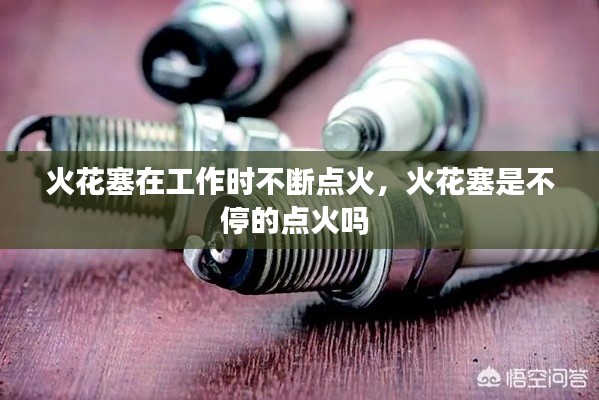 风韵犹存 第3页