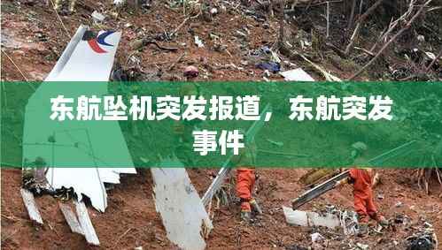 东航坠机突发报道,东航突发事件
