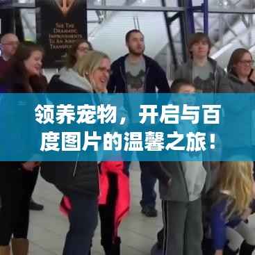 领养宠物,开启与百度图片的温馨之旅!