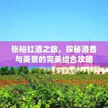 张裕红酒之旅,探秘酒香与美景的完美结合攻略
