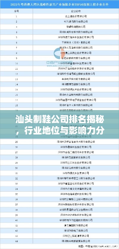 汕头制鞋公司排名揭秘,行业地位与影响力分析