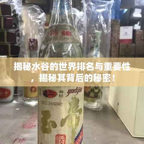 揭秘水谷的世界排名与重要性,揭秘其背后的秘密!