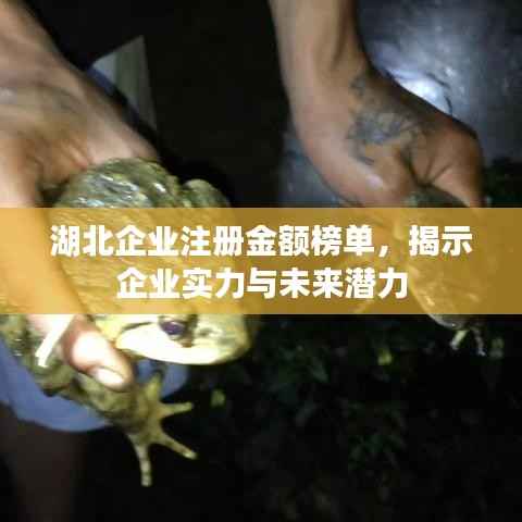 湖北企业注册金额榜单,揭示企业实力与未来潜力