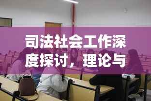 司法社会工作深度探讨,理论与实践结合的新视角