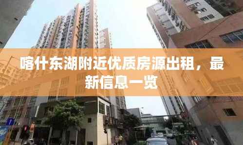 喀什东湖附近优质房源出租,最新信息一览