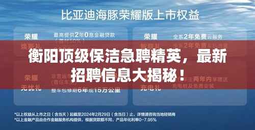 衡阳顶级保洁急聘精英,最新招聘信息大揭秘!
