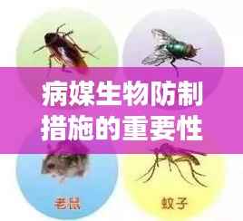 病媒生物防制措施的重要性与实践探索