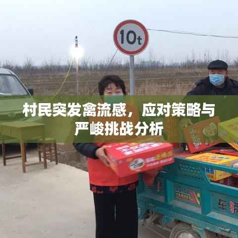 村民突发禽流感,应对策略与严峻挑战分析