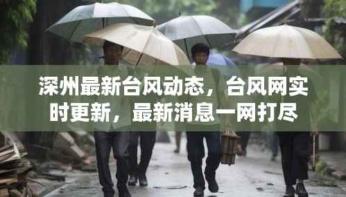 深州最新台风动态,台风网实时更新,最新消息一网打尽