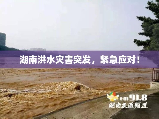 湖南洪水灾害突发,紧急应对!
