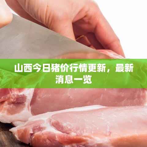 山西今日猪价行情更新,最新消息一览