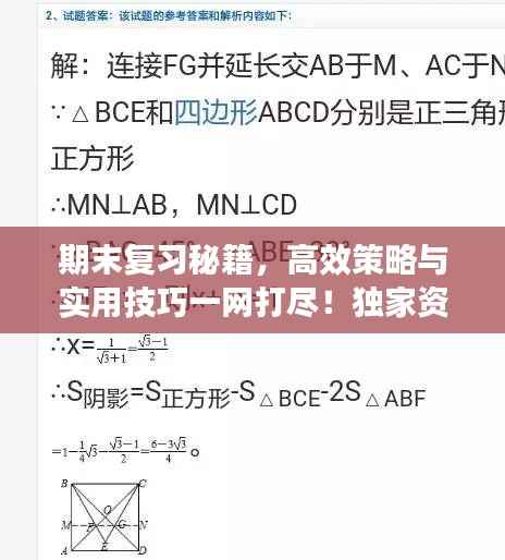 期末复习秘籍,高效策略与实用技巧一网打尽!独家资料助你冲刺备考!