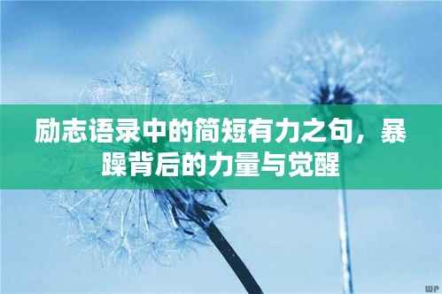 励志语录中的简短有力之句,暴躁背后的力量与觉醒