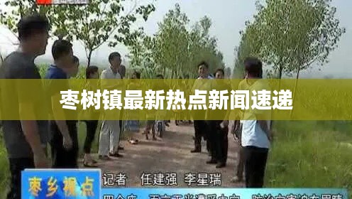 枣树镇最新热点新闻速递