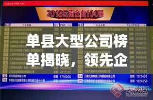 单县大型公司榜单揭晓,领先企业排名一览