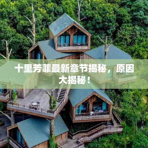 十里芳菲最新章节揭秘,原因大揭秘!