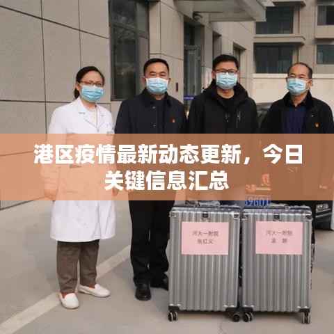 港区疫情最新动态更新,今日关键信息汇总