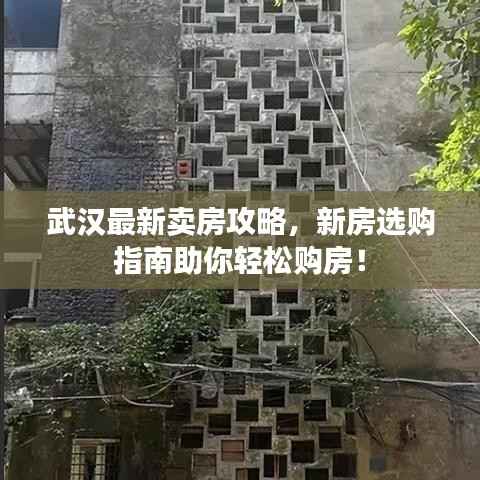 武汉最新卖房攻略,新房选购指南助你轻松购房!